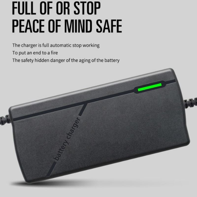 Зарядное устройство HD 73V 5A  – обзор и цена 84V 20A Smart Charger